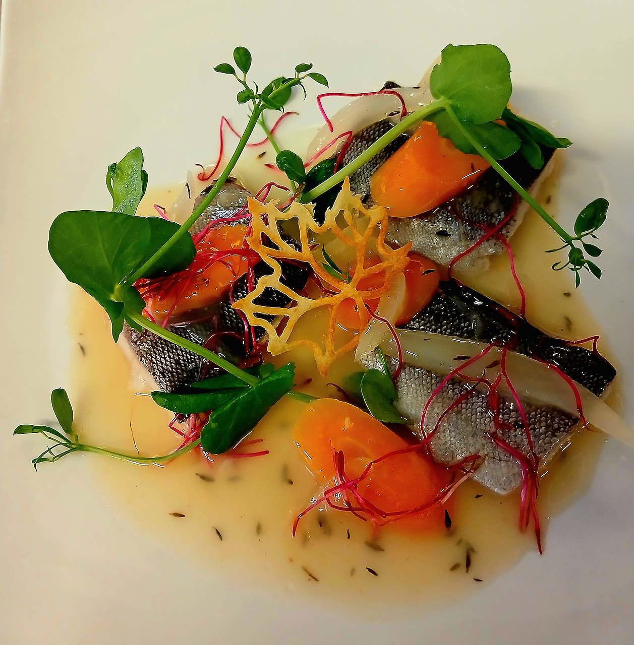 Plat de la formule